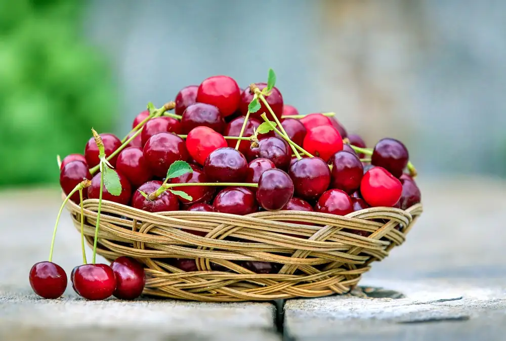 Cherry Cheesecake Recipe